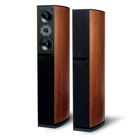 Loa jamo D590
