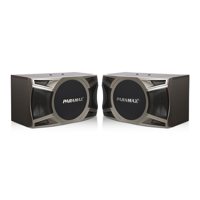 cap-loa-karaoke-2-way-paramax-d1000